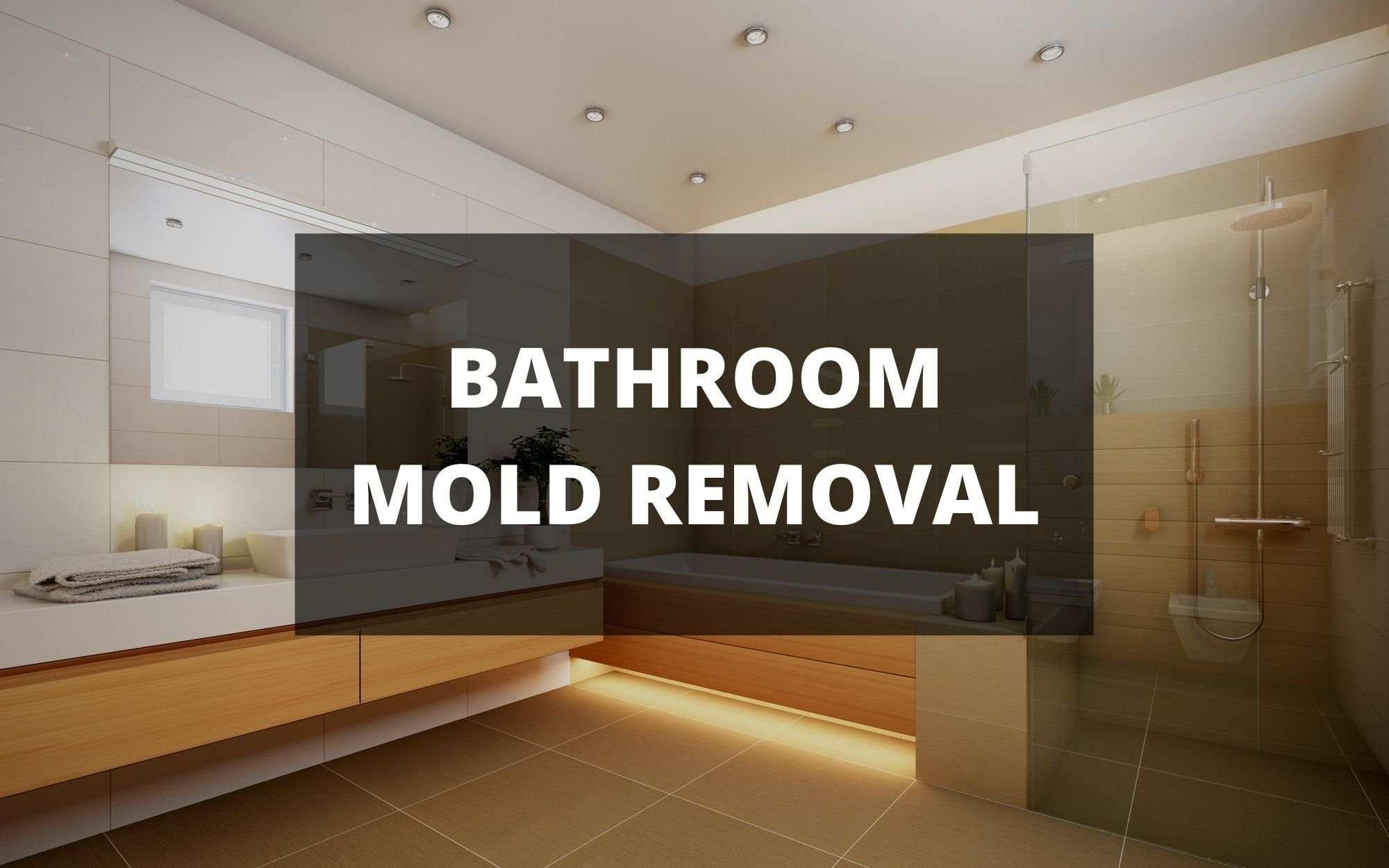 How to Get Rid of Black Mold in The Bathroom