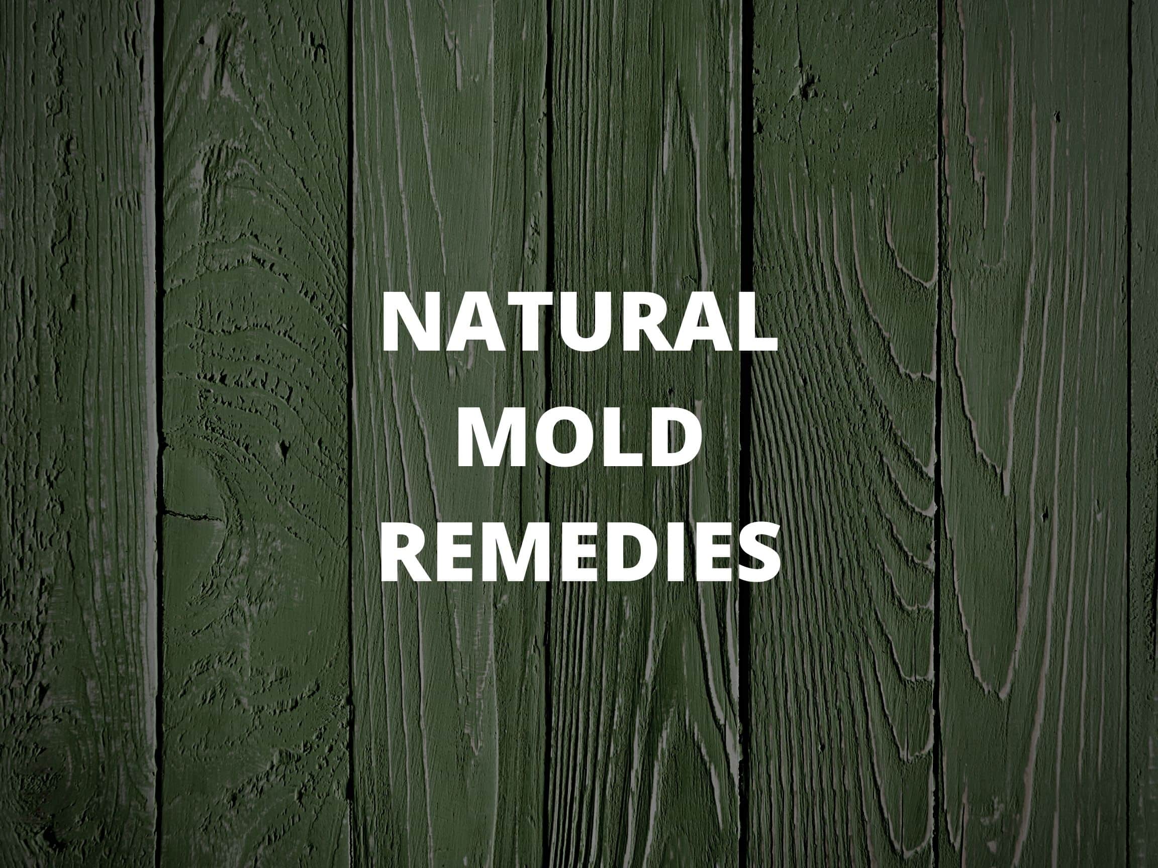 5 Natural Ways for Removing Mold From Your Home