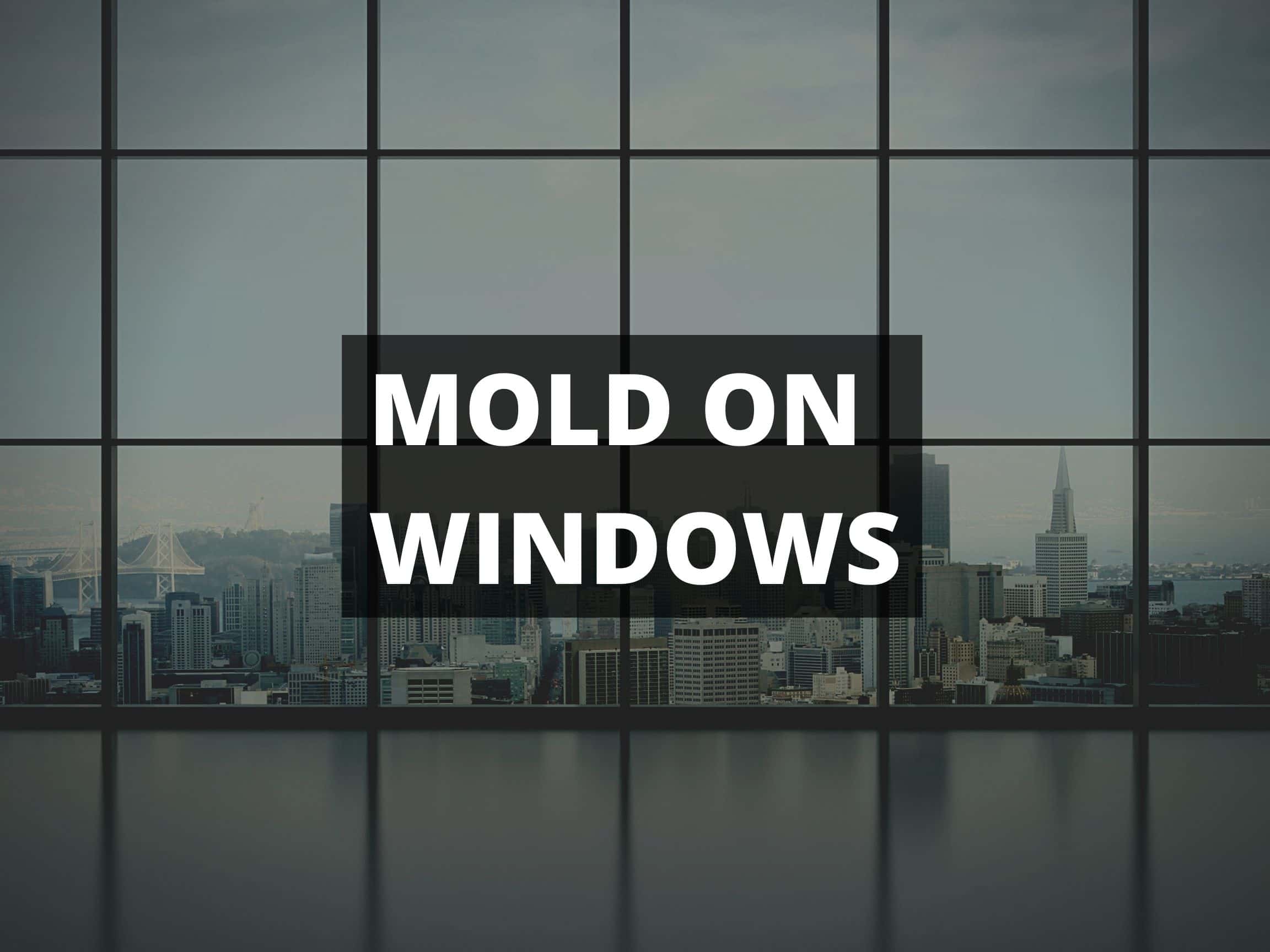 How To Get Rid of Mold On Windows