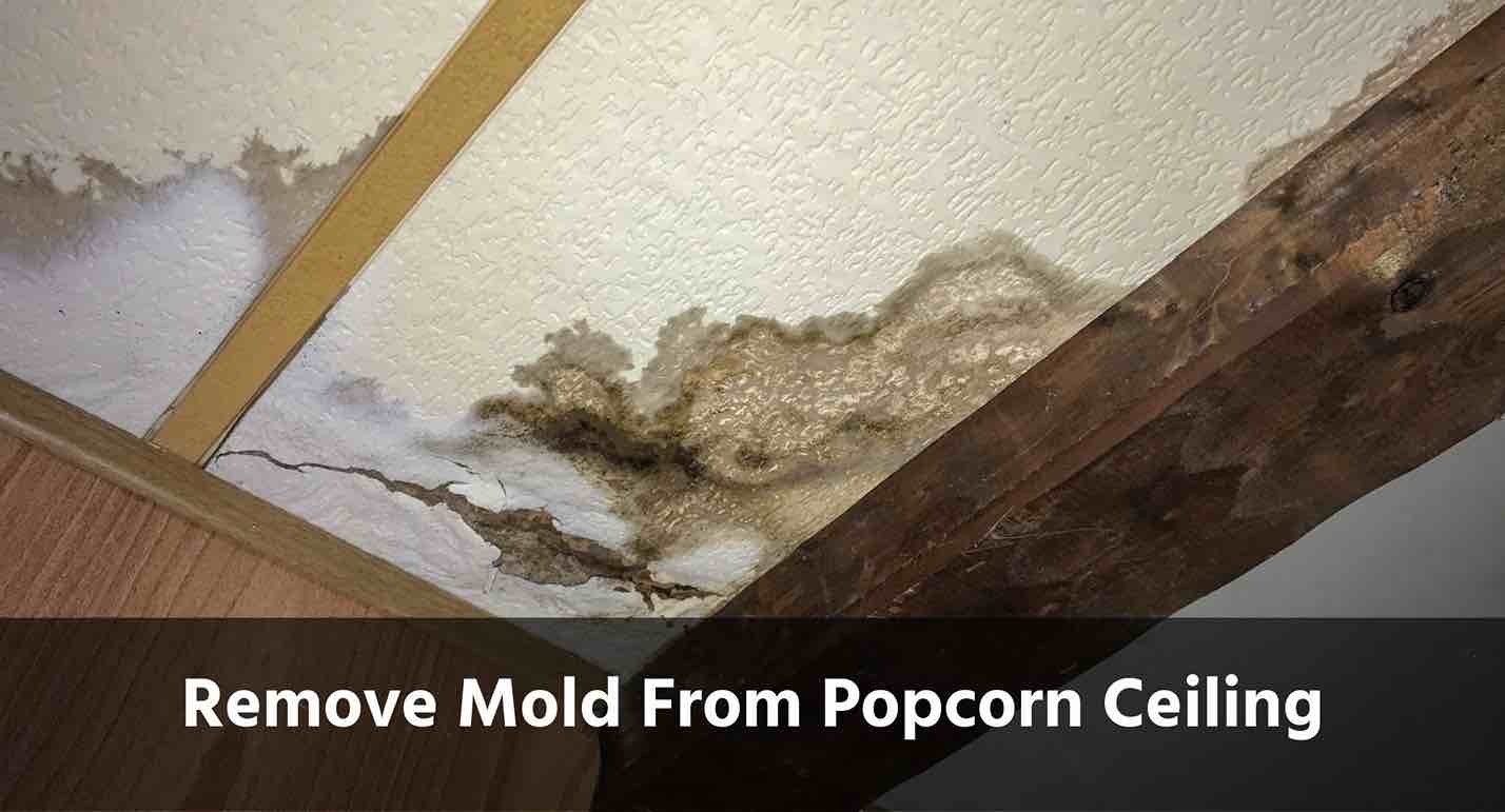 How To Remove Mold From Popcorn Ceiling