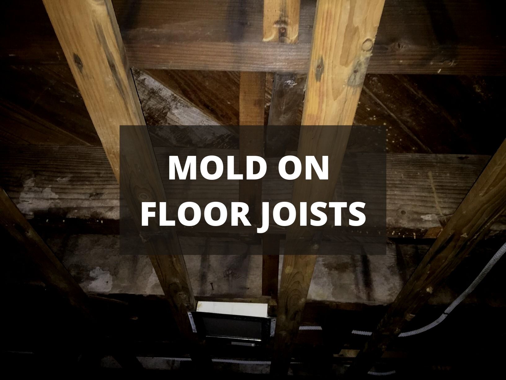 How To Get Rid of Mold on Floor Joists in Crawl Space