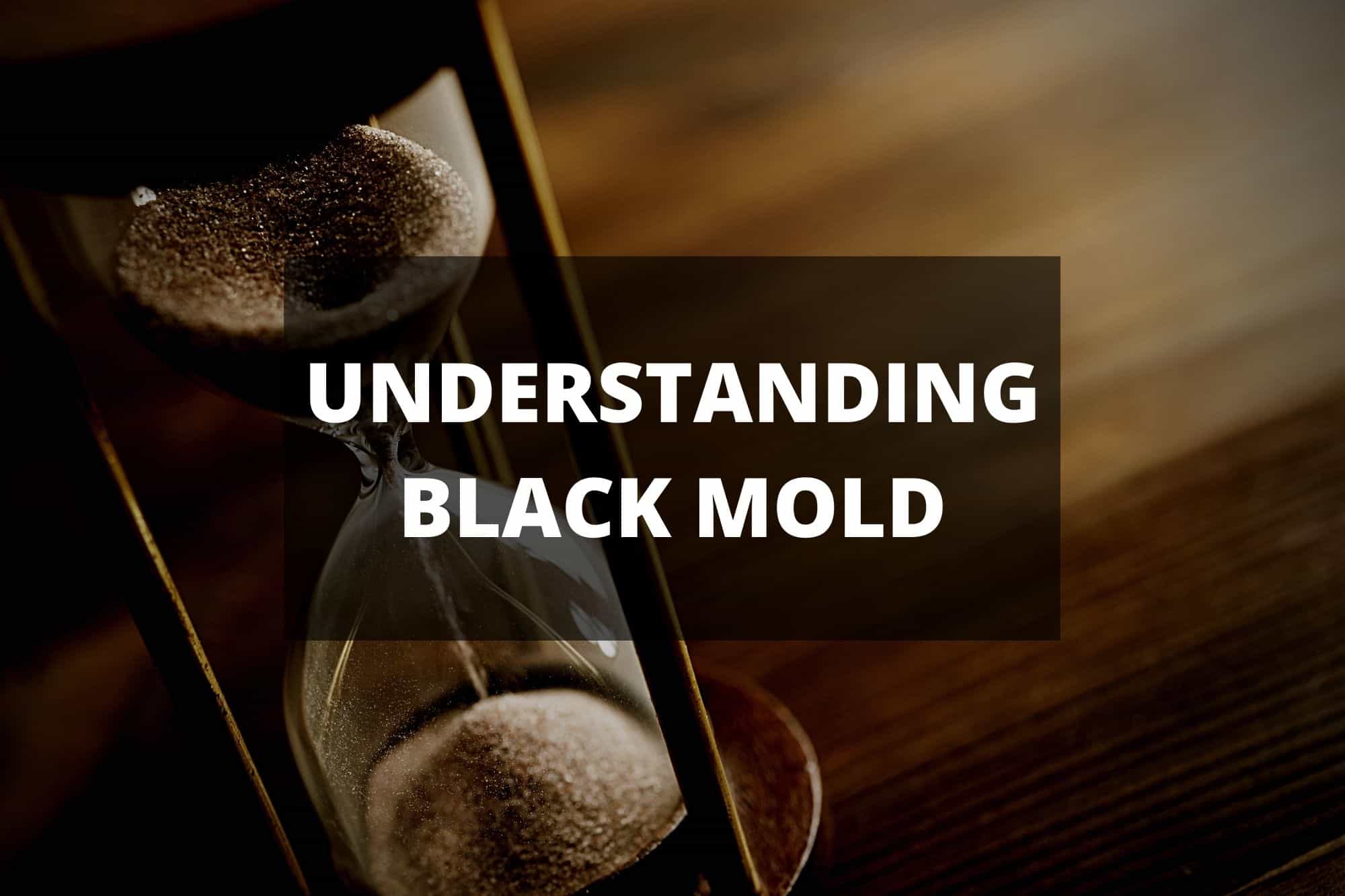 How Long Does It Take Black Mold To Grow?