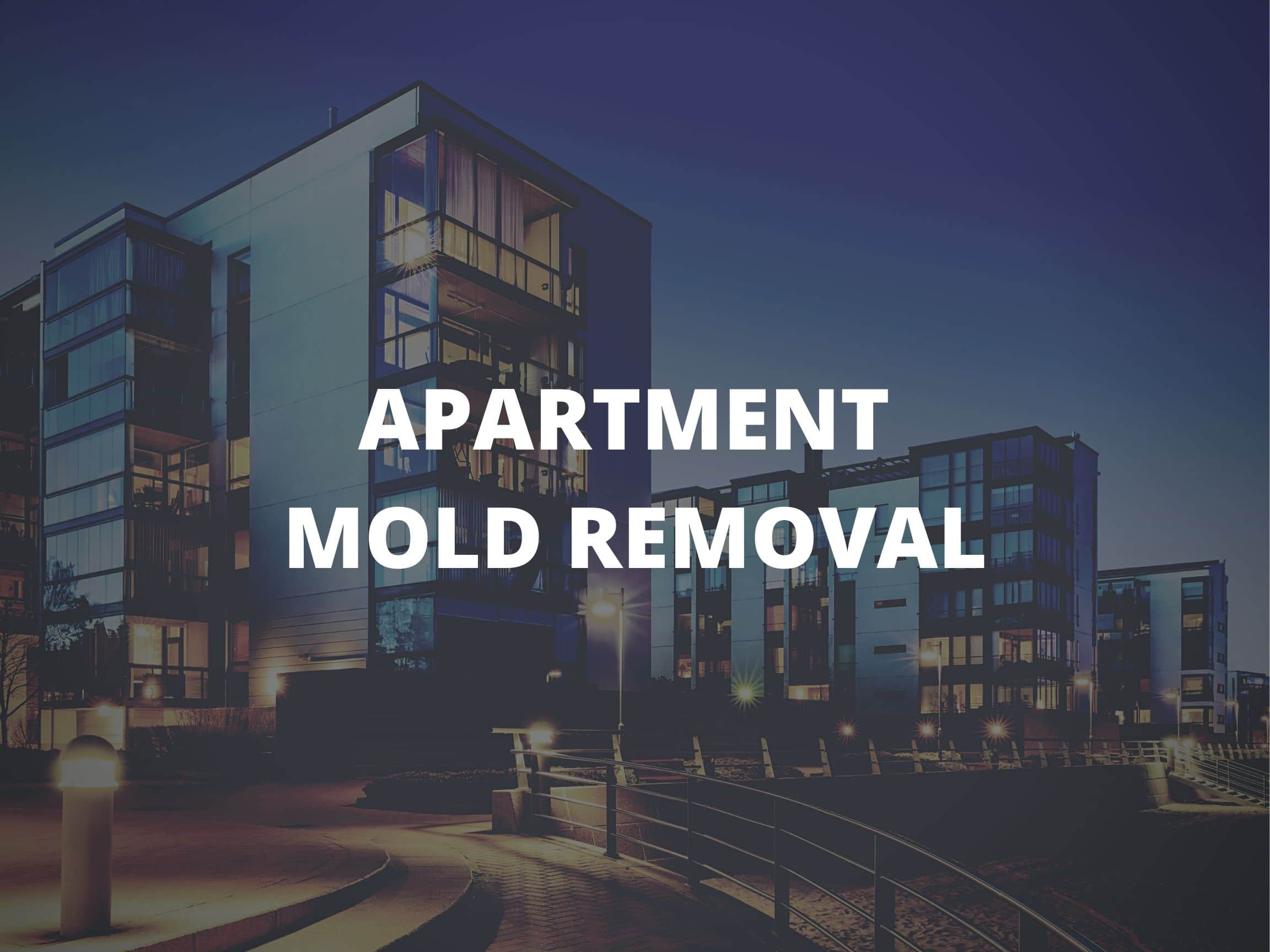 How To Test For Mold In Your Apartment