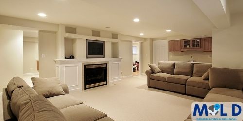 basement mold remediation