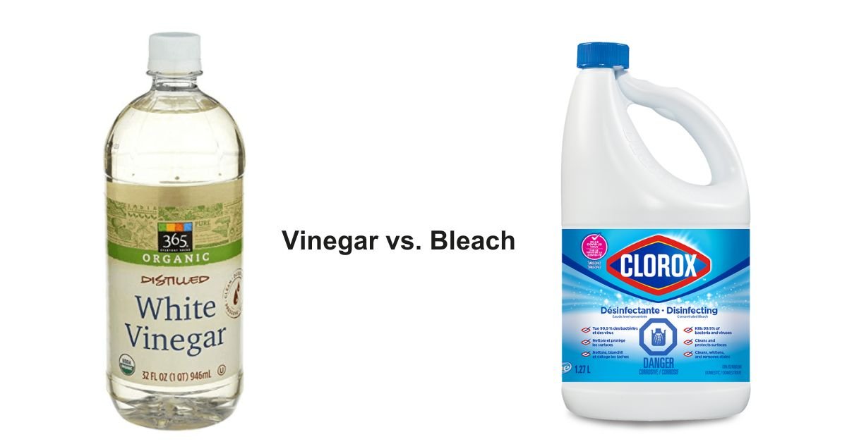 vinegar bathroom mold removal spray