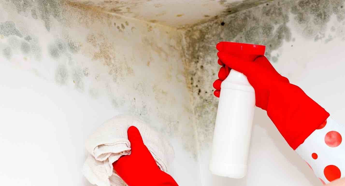 mold remover popcorn ceiling