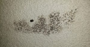 popcorn ceiling black mold