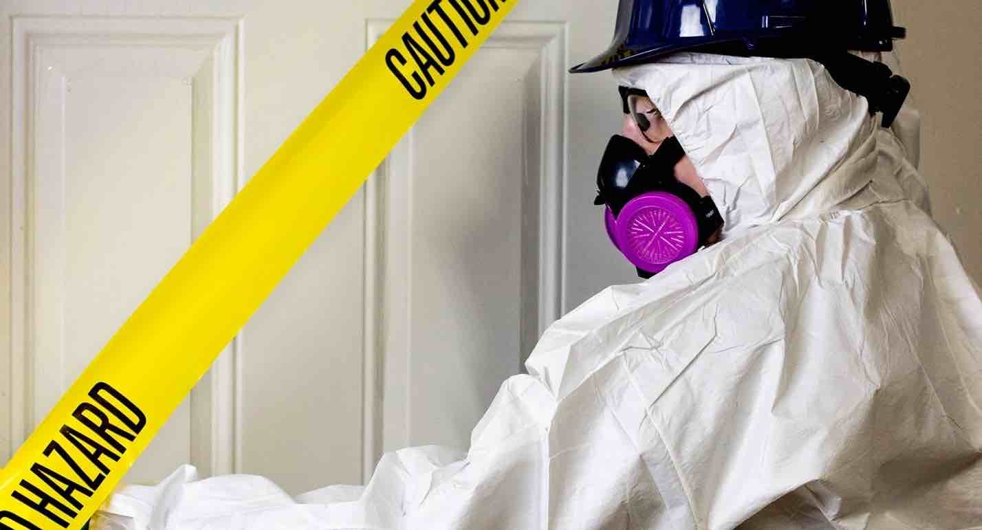 professional removing mold