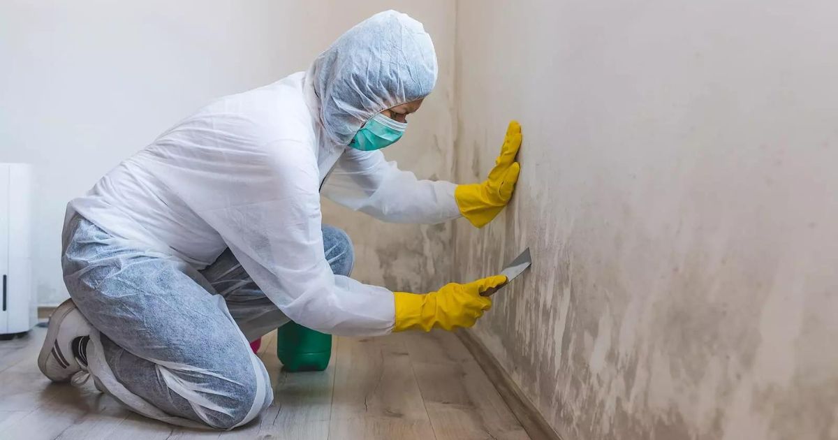 remove mold stain with vinegar