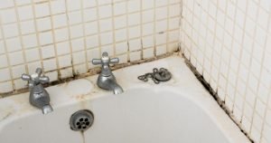 black mold in bathroom