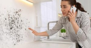 mold in kitchen vinegar removal
