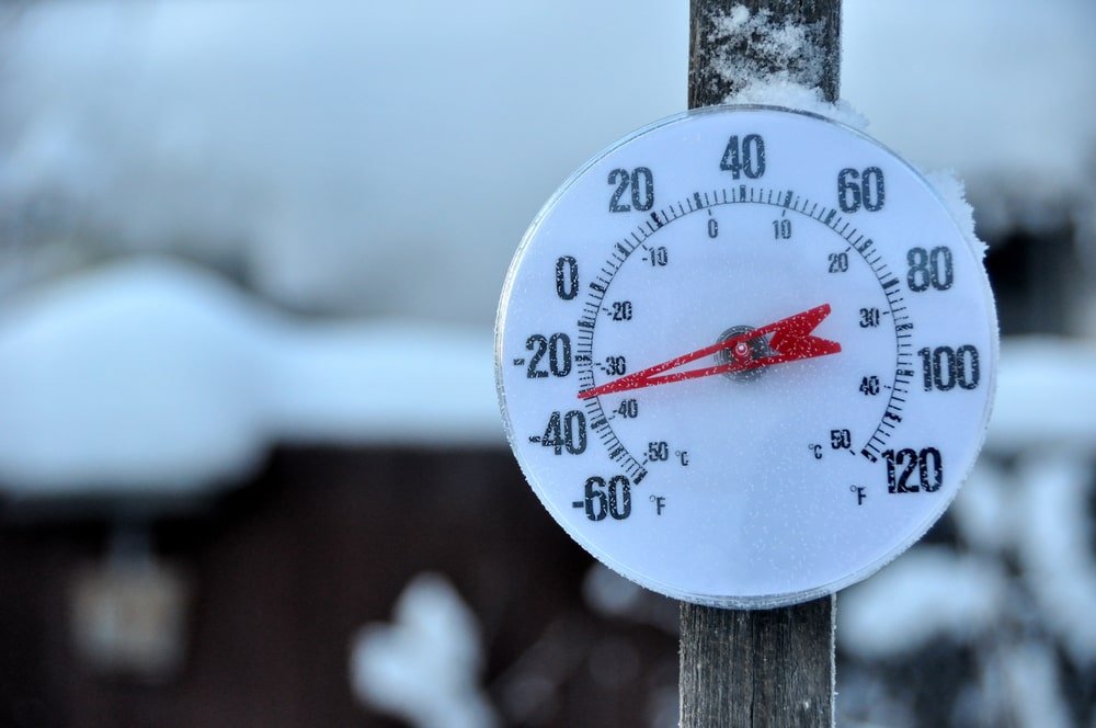 cold temperatures and mold