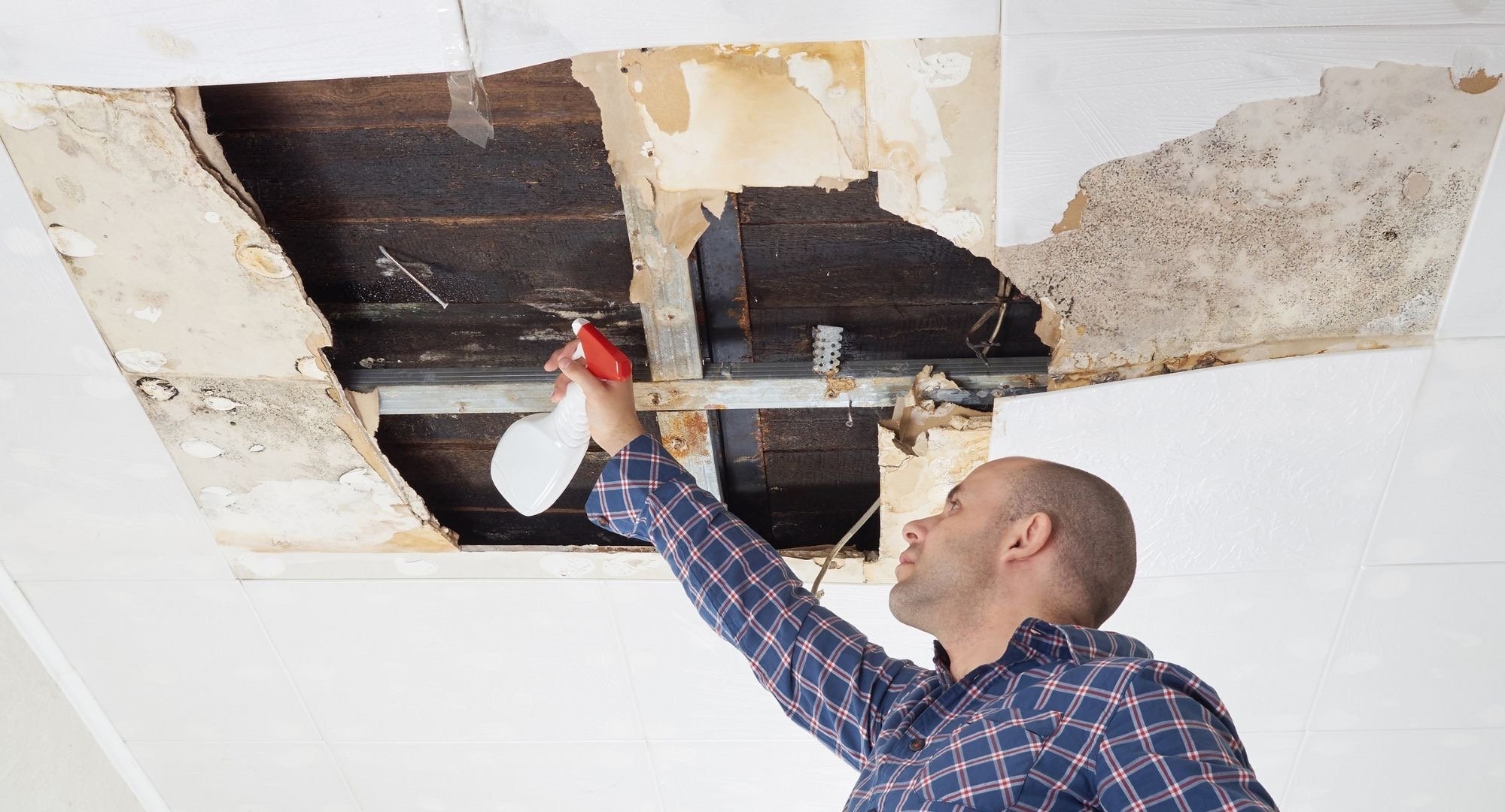 how to remove mold