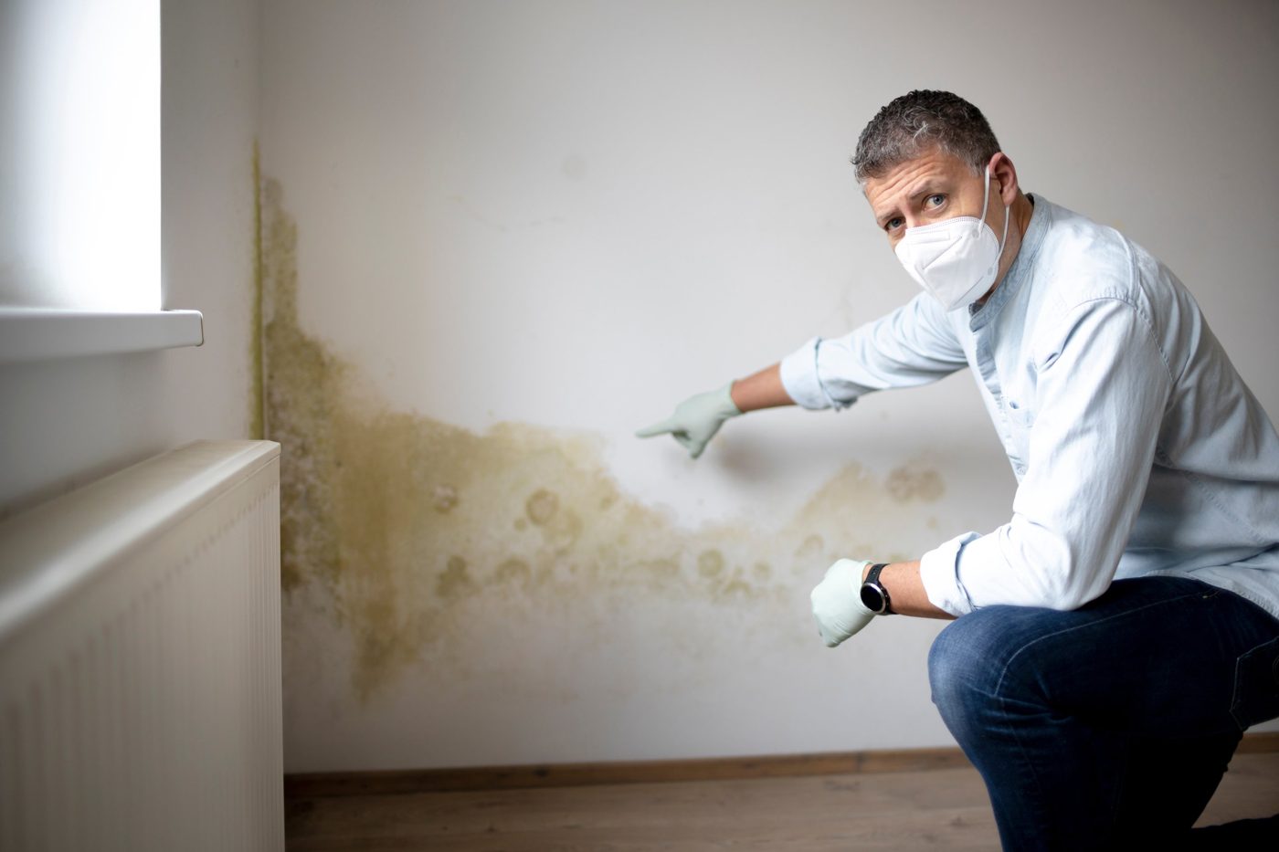 Mold Inspection & Testing