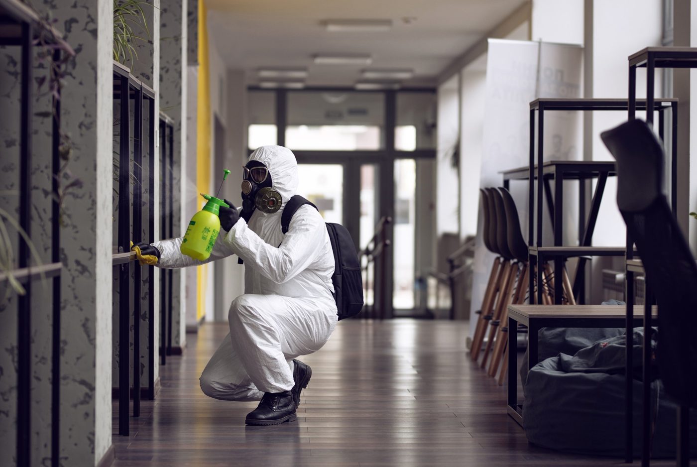 24/7 Emergency Mold Removal