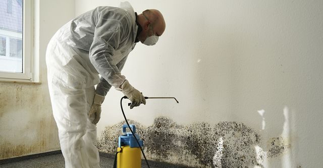 Mold remediation across Connecticut