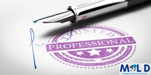 Mold Removal Contractor